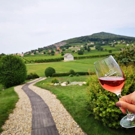Roze Vendeghaz Ξενοδοχείο Villány Εξωτερικό φωτογραφία