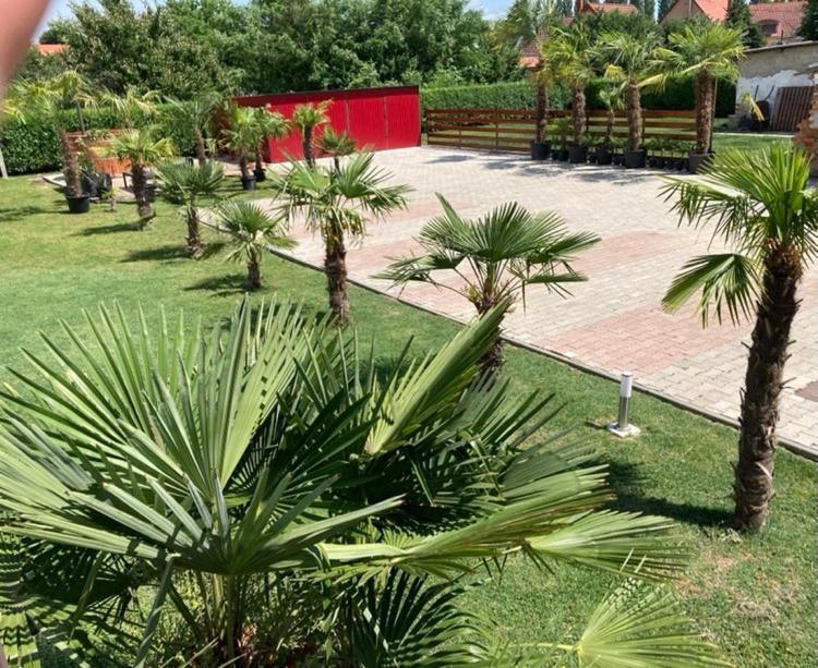 Roze Vendeghaz Ξενοδοχείο Villány Εξωτερικό φωτογραφία
