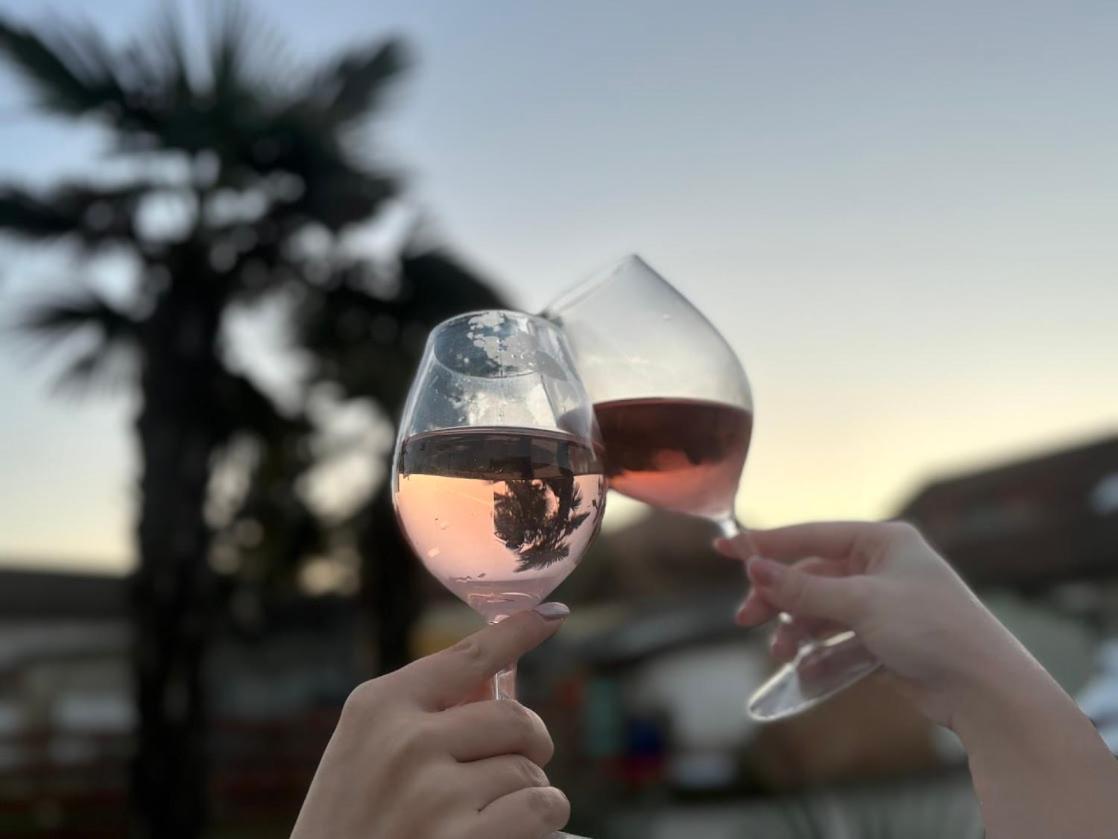 Roze Vendeghaz Ξενοδοχείο Villány Εξωτερικό φωτογραφία